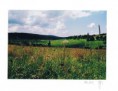 /album/fotogalerie-uvodni-stranka/sumava2-11-fengshui-zdravi-rodinna-harmonie-danajirsakova-jpg/